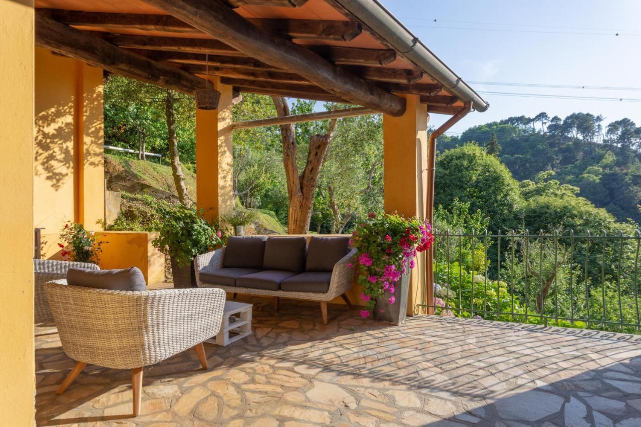 קמאיורה Villa Borgovecchio B&B מראה חיצוני תמונה