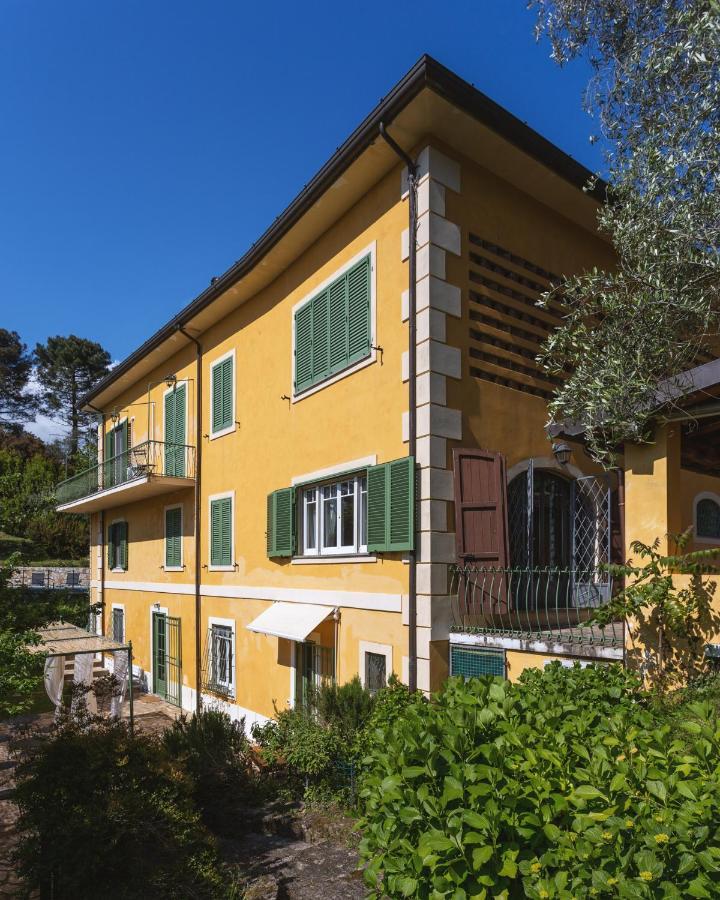 קמאיורה Villa Borgovecchio B&B מראה חיצוני תמונה